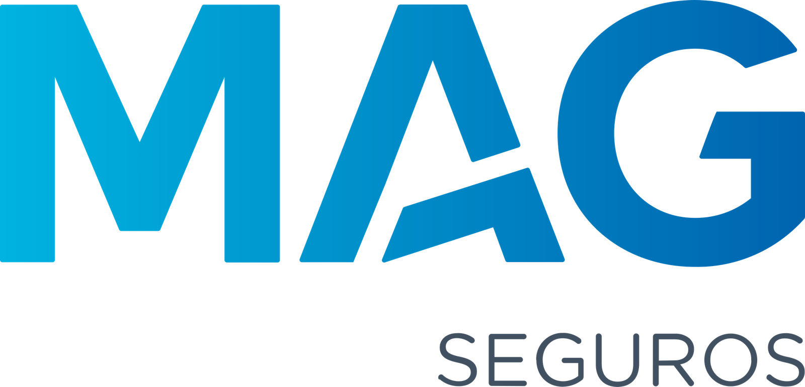 Logo_MAG_Seguros.svg_.png